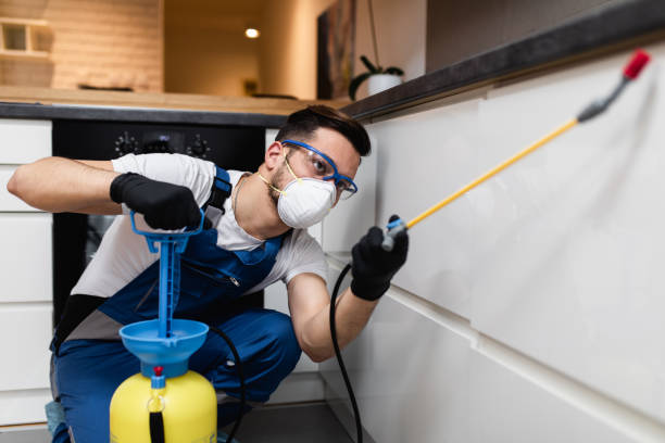 Best Pest Control Near Me  in Azusa, CA