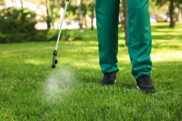 Best Residential Pest Control  in Azusa, CA