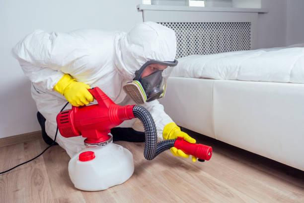 Flea Control Services in Azusa, CA