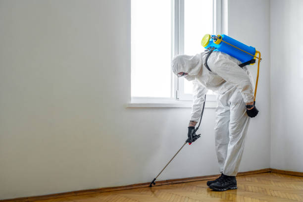 Best Rat Extermination Near Me  in Azusa, CA