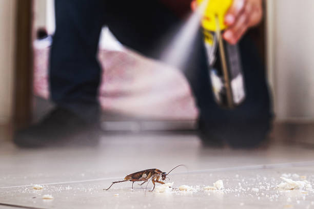 Best Bird Control  in Azusa, CA