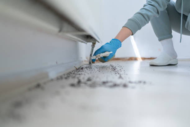 Best Spider Control Near Me  in Azusa, CA